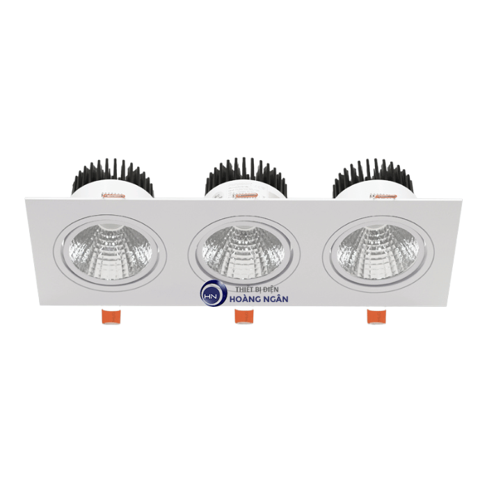 Đèn Downlight Âm Trần Paragon OLS Series