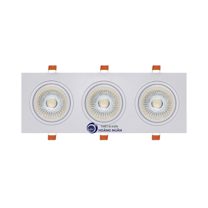 Đèn Downlight Âm Trần Paragon OLS Series