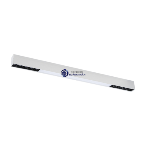 Đèn Gắn Nổi Hoặc Treo Trần PASA Series Paragon